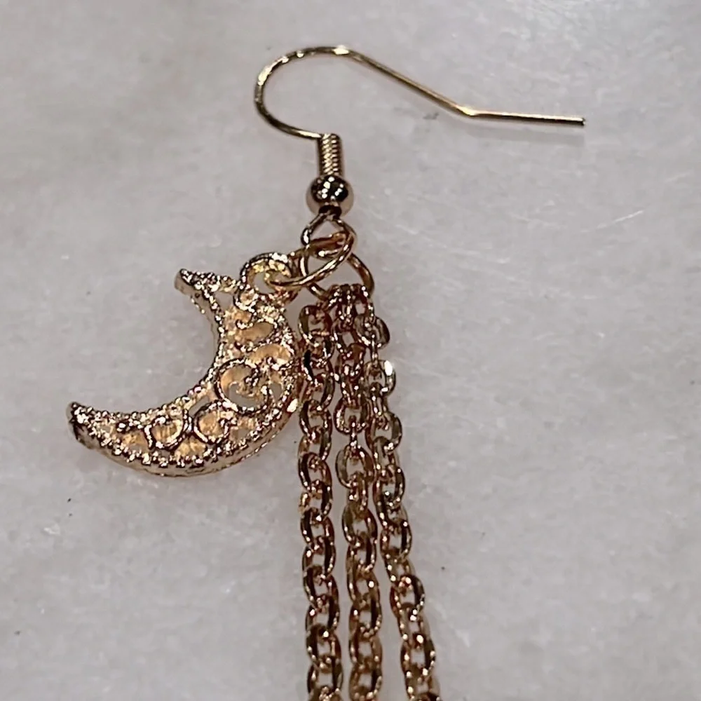 Celestial Cat and Moon Etched Earrings